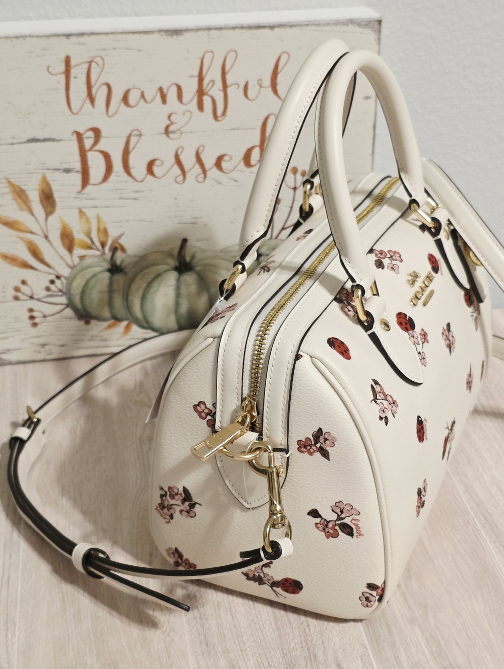 Coach RARE Rowan MEDIUM Crossbody Chalk Ladybug Floral + gold Coach C charm ๐๐ - Picture 8 of 16